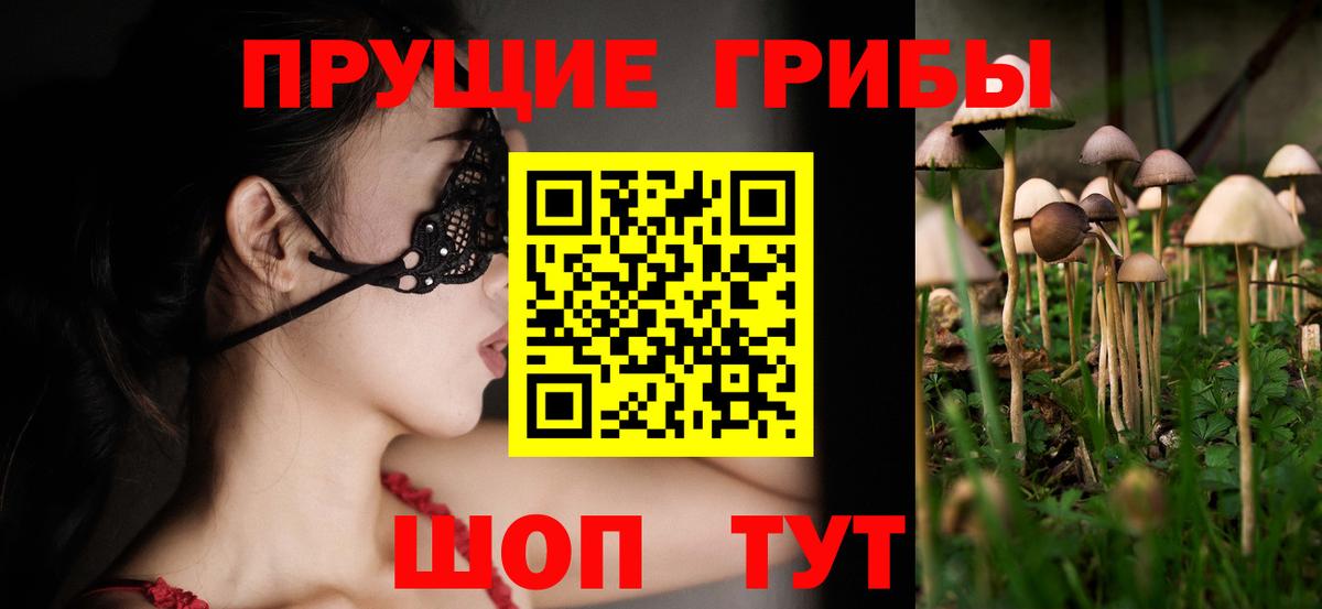 Саранск  Псилоцибиновые грибы мухоморы  Вход с VPN  купить наркоту  Галлюциногенные грибы прущие грибы 